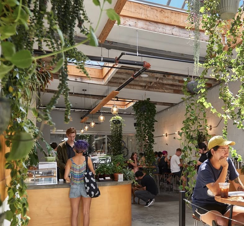 Sey Coffee — a light-flooded industrial interior in Bushwick, Brooklyn, with hanging plants and a warm wooden counter