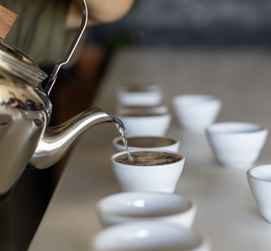 Heart Coffee Roasters — a cupping session with a silver kettle pouring into a row of white ceramic cups on a light counter